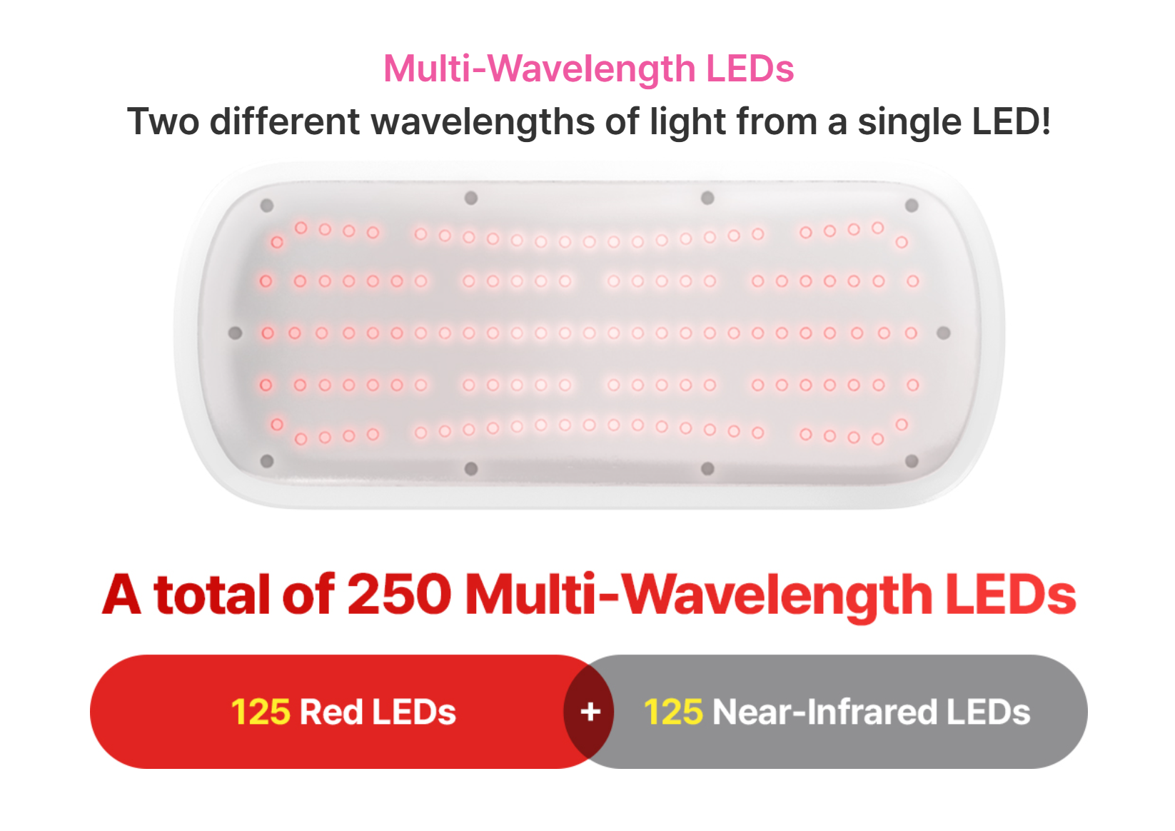 DUORE BODY (AINA-2710DB)